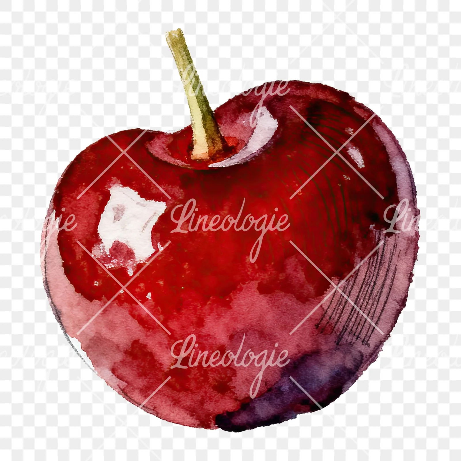 Watercolor single and paired cherry clipart 6 of 6 on a transparent background (PNG)