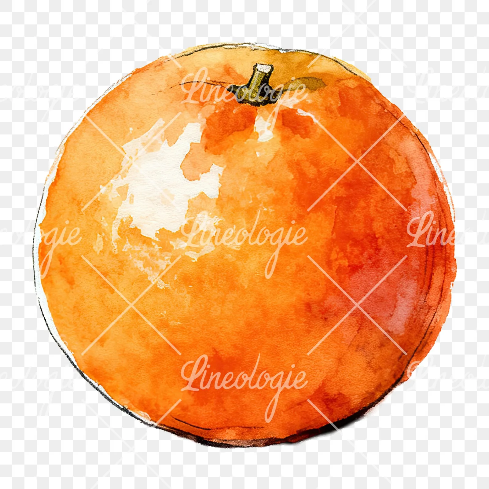 Watercolor whole and halved orange clipart 4 of 9 on a transparent background (PNG)