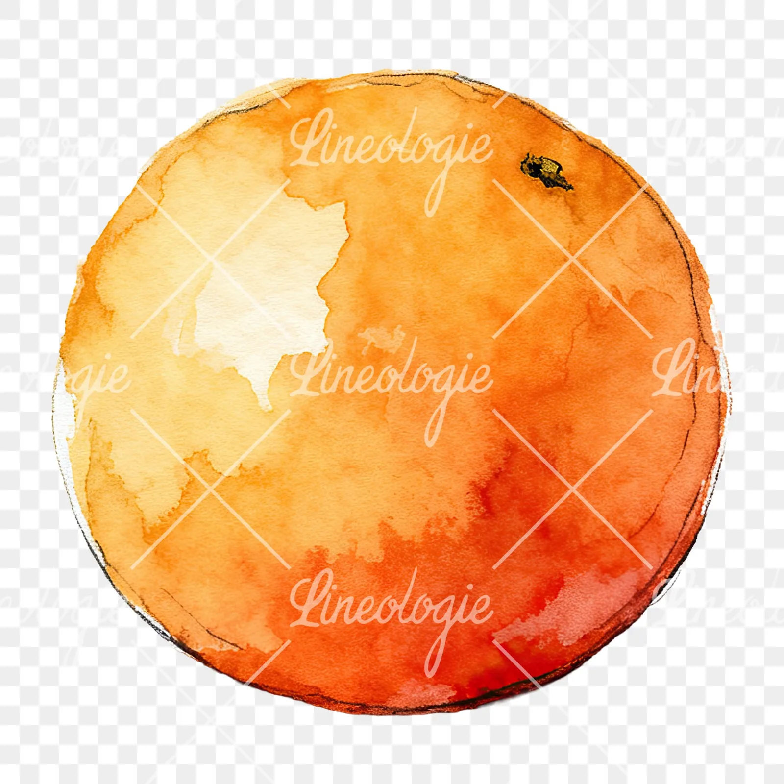 Watercolor whole and halved orange clipart 5 of 9 on a transparent background (PNG)