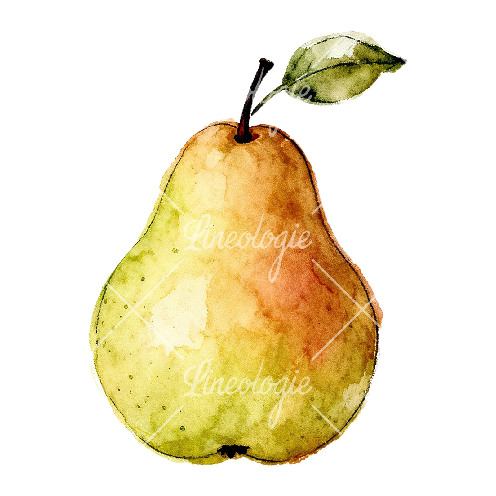 Watercolor green and gold pear clipart 1 of 9 on a white background (JPG)
