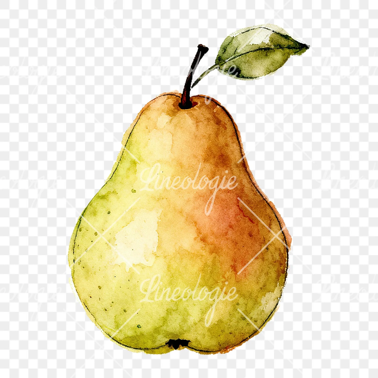 Watercolor green and gold pear clipart 1 of 9 on a transparent background (PNG)