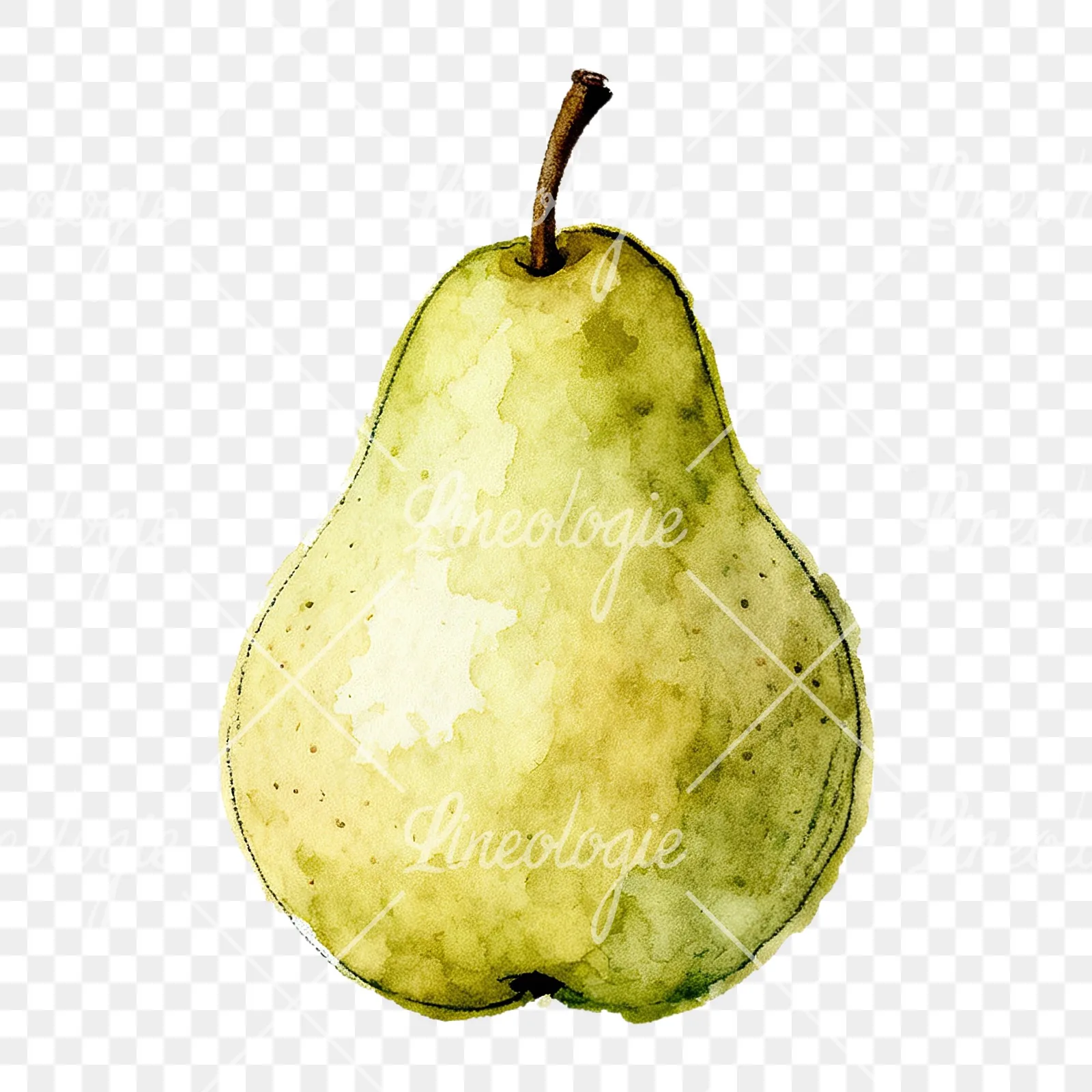 Watercolor green and gold pear clipart 2 of 9 on a transparent background (PNG)
