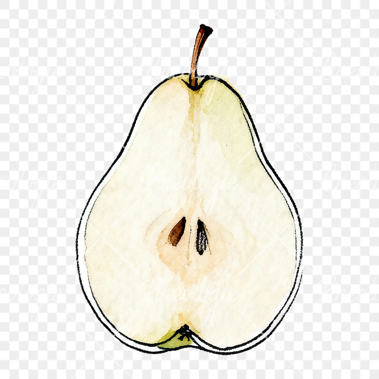 Watercolor green and gold pear clipart 3 of 9 on a transparent background (PNG)