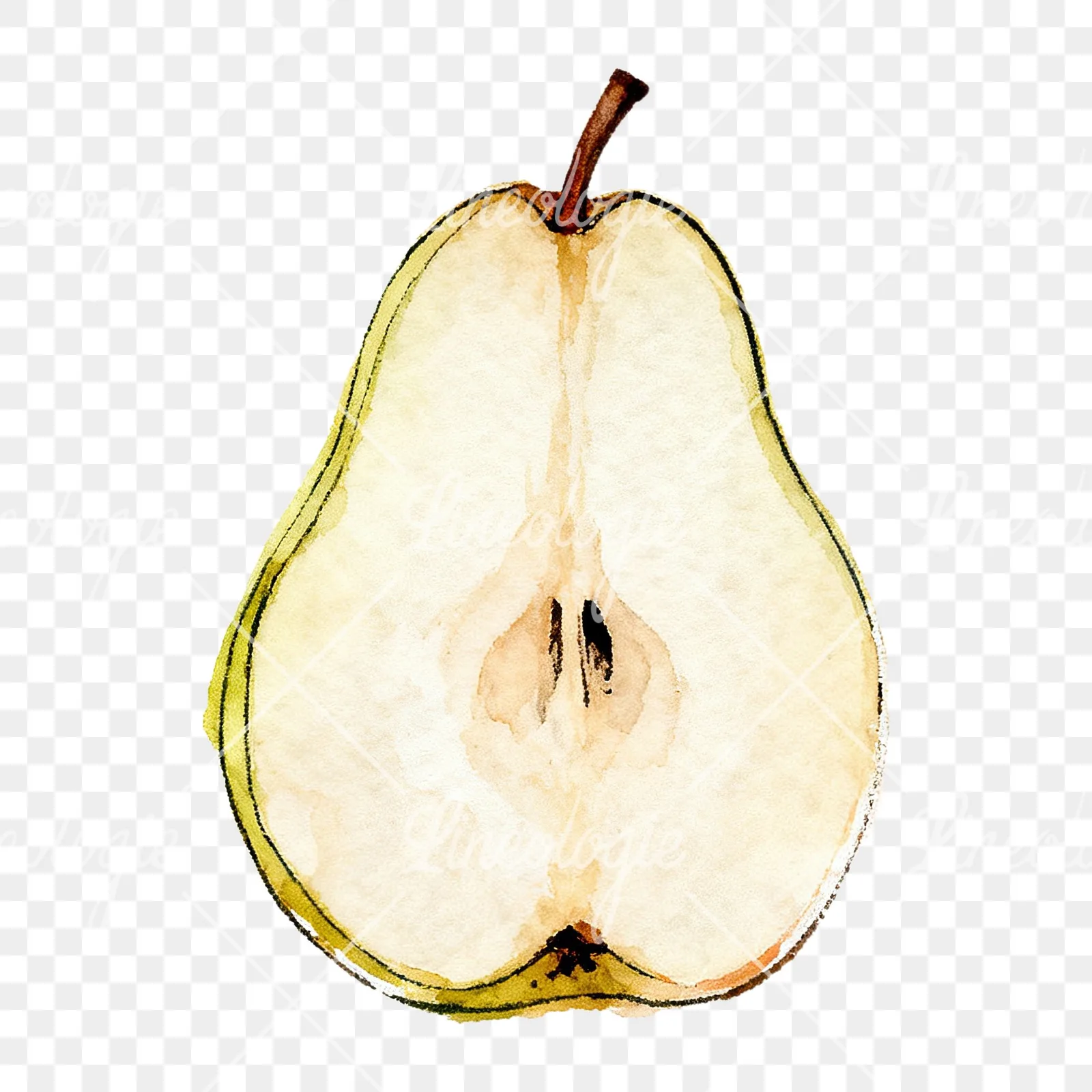 Watercolor green and gold pear clipart 4 of 9 on a transparent background (PNG)
