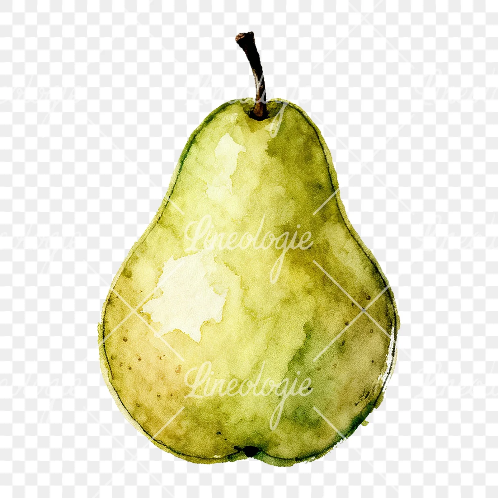 Watercolor green and gold pear clipart 5 of 9 on a transparent background (PNG)