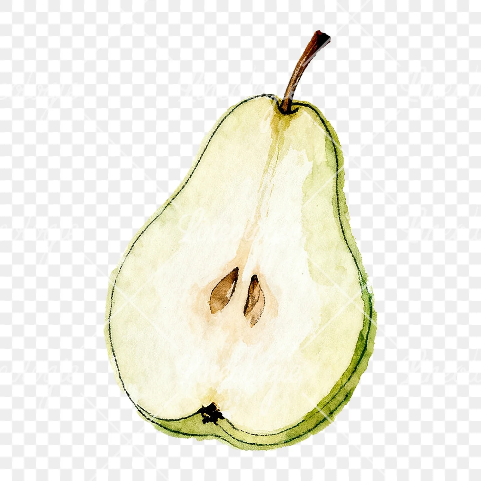 Watercolor green and gold pear clipart 6 of 9 on a transparent background (PNG)