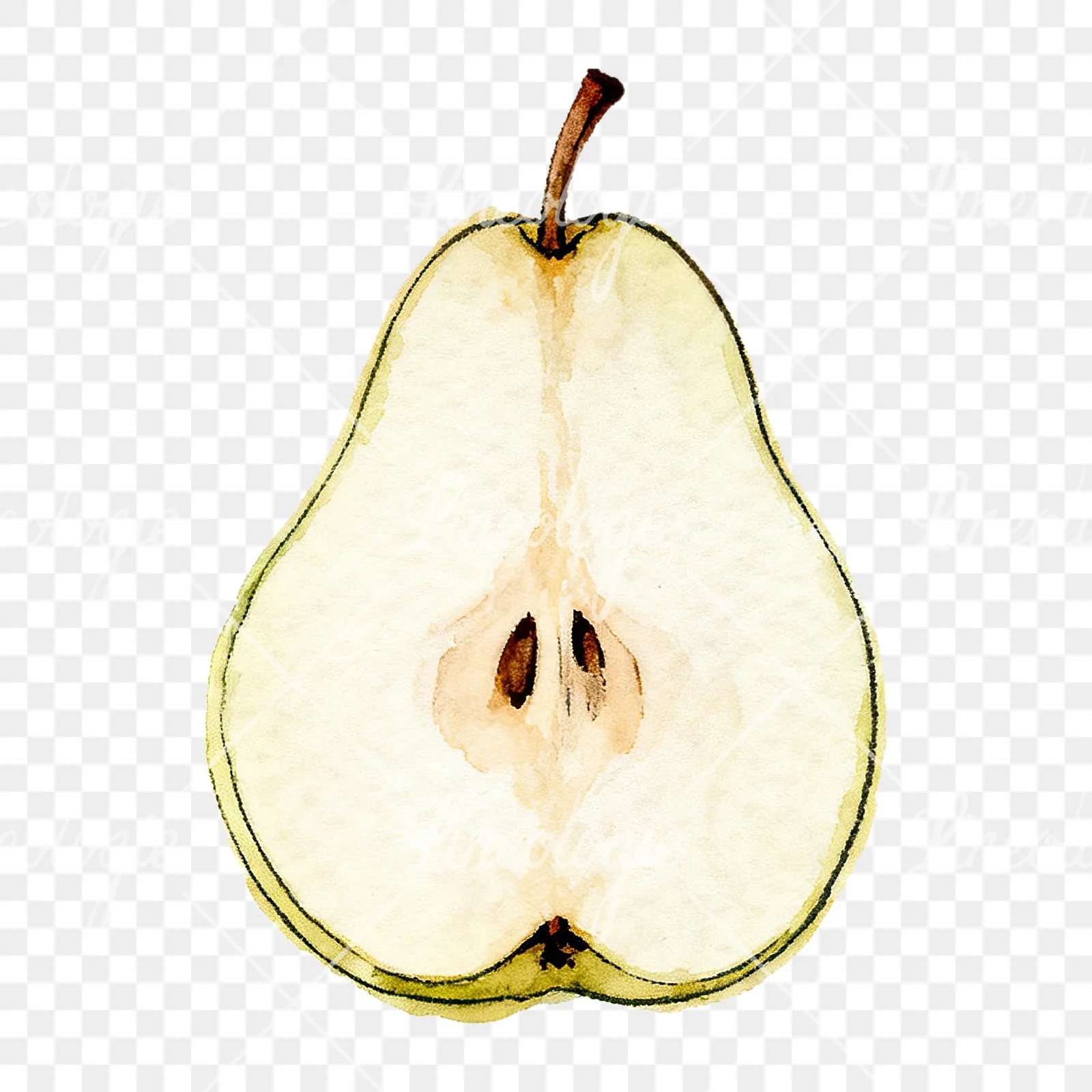 Watercolor green and gold pear clipart 7 of 9 on a transparent background (PNG)