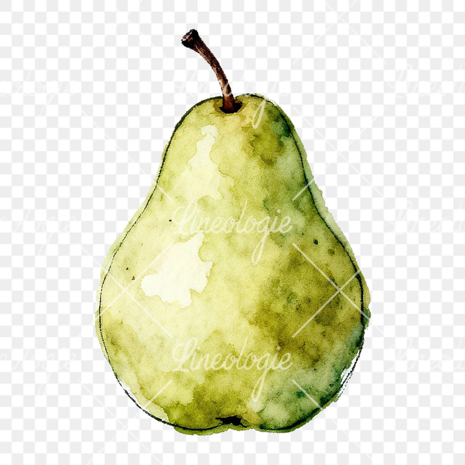 Watercolor green and gold pear clipart 8 of 9 on a transparent background (PNG)