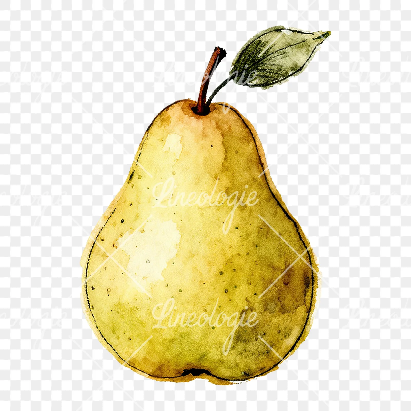 Watercolor green and gold pear clipart 9 of 9 on a transparent background (PNG)