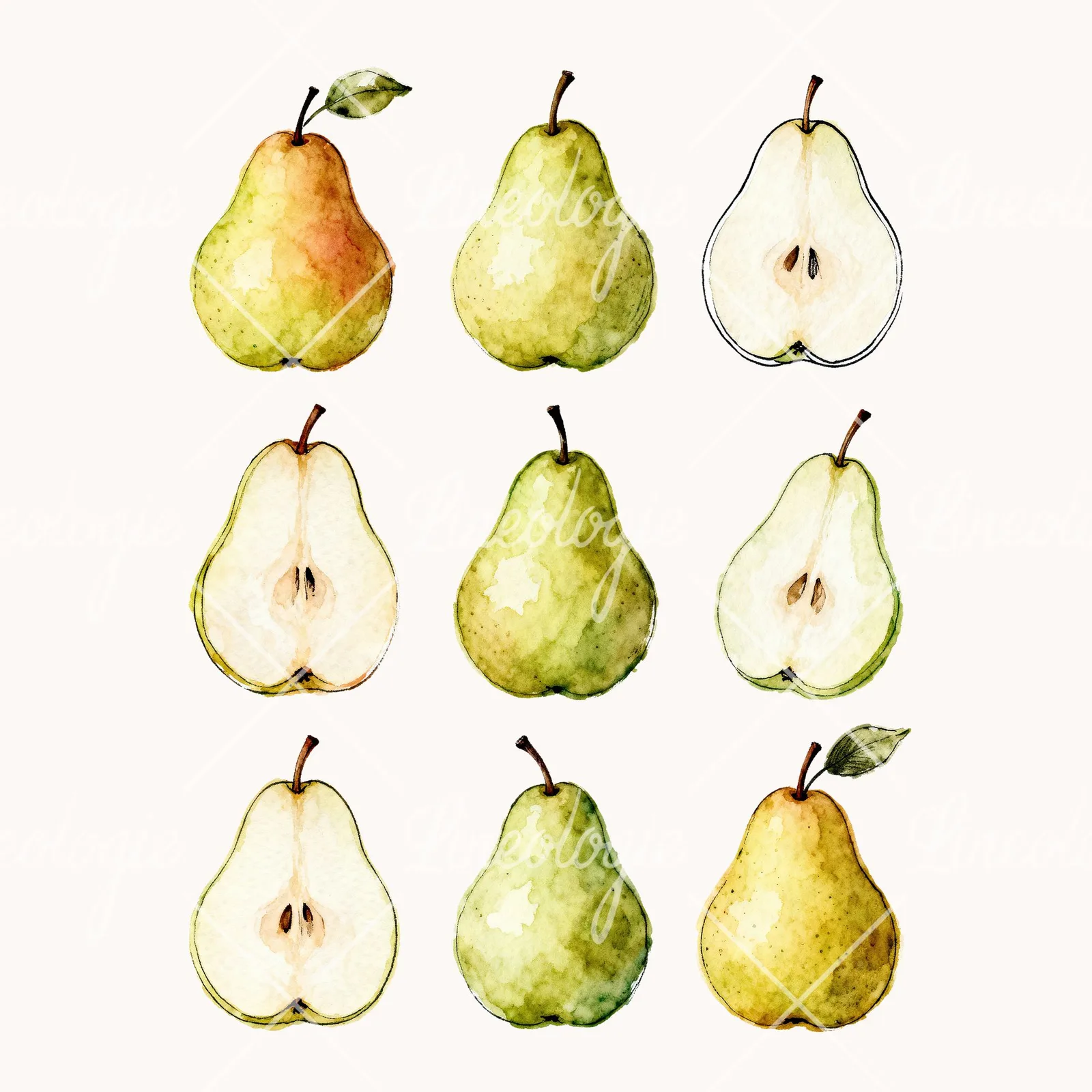 Watercolor Green and Gold Pear Clipart, all 9 illustrations in the pack