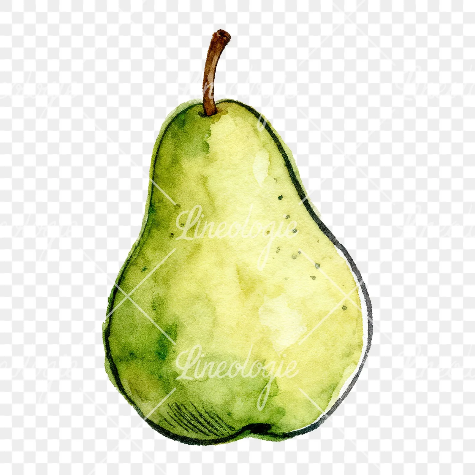 Watercolor pear fruit clipart 8 of 9 on a transparent background (PNG)