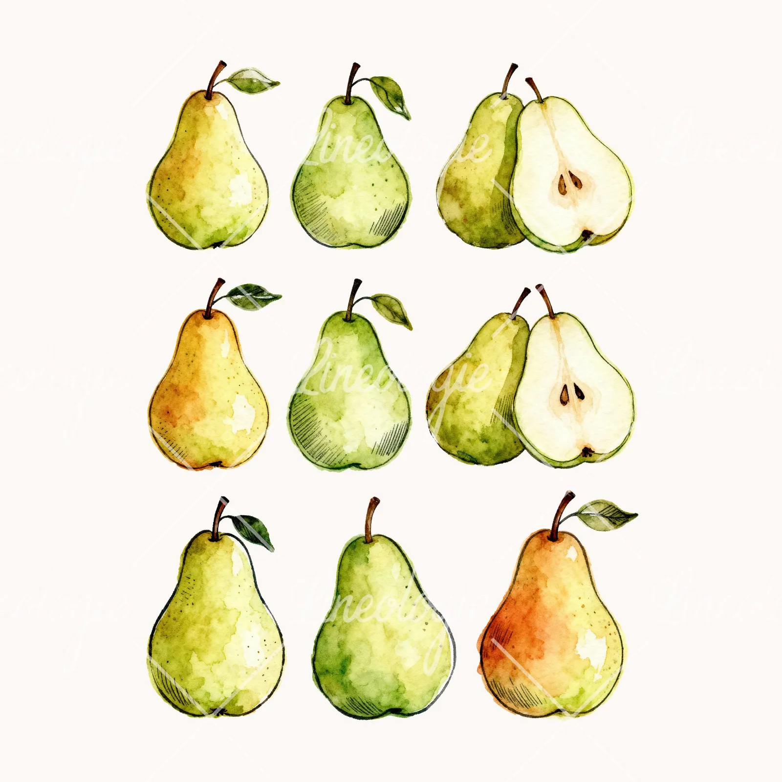 Watercolor Pear Fruit Clipart, all 9 illustrations in the pack