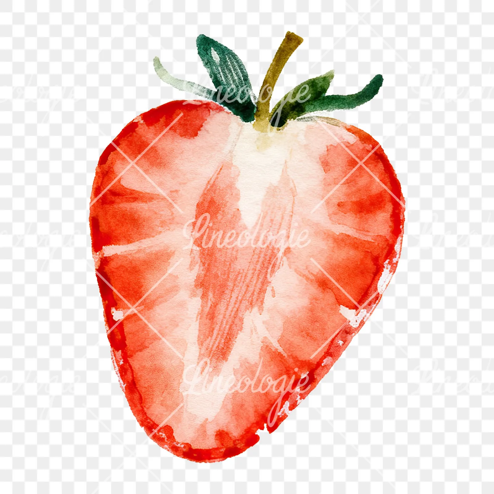 Watercolor strawberry fruit clipart 5 of 9 on a transparent background (PNG)