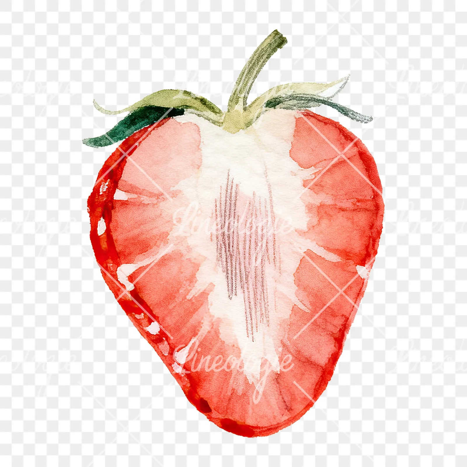 Watercolor strawberry fruit clipart 7 of 9 on a transparent background (PNG)