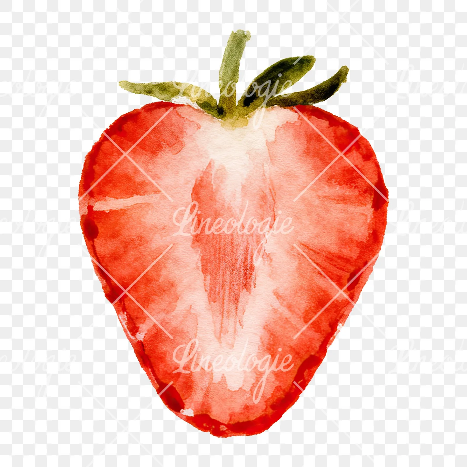 Watercolor strawberry fruit clipart 8 of 9 on a transparent background (PNG)