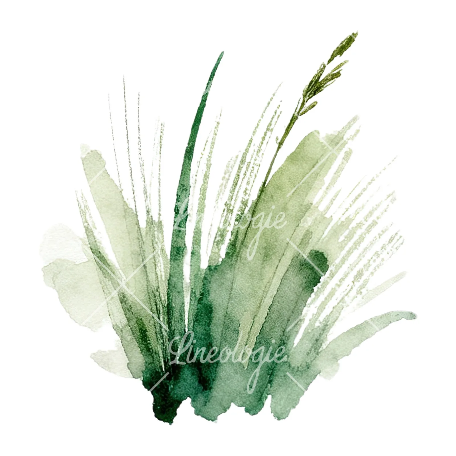 Watercolor grayscale and green wild grass clipart 11 of 12 on a white background (JPG)