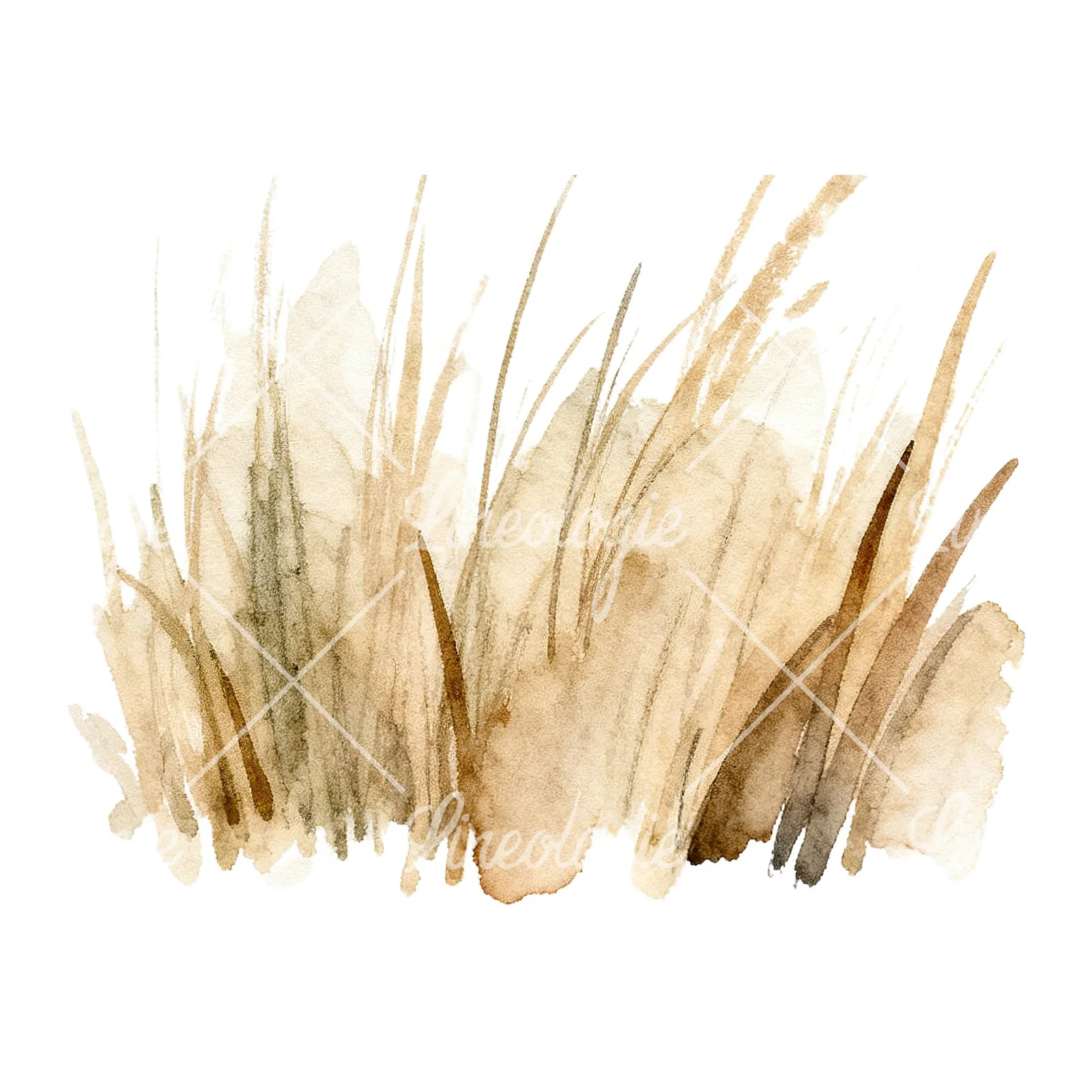 Watercolor dried grass scene clipart 2 of 6 on a white background (JPG)