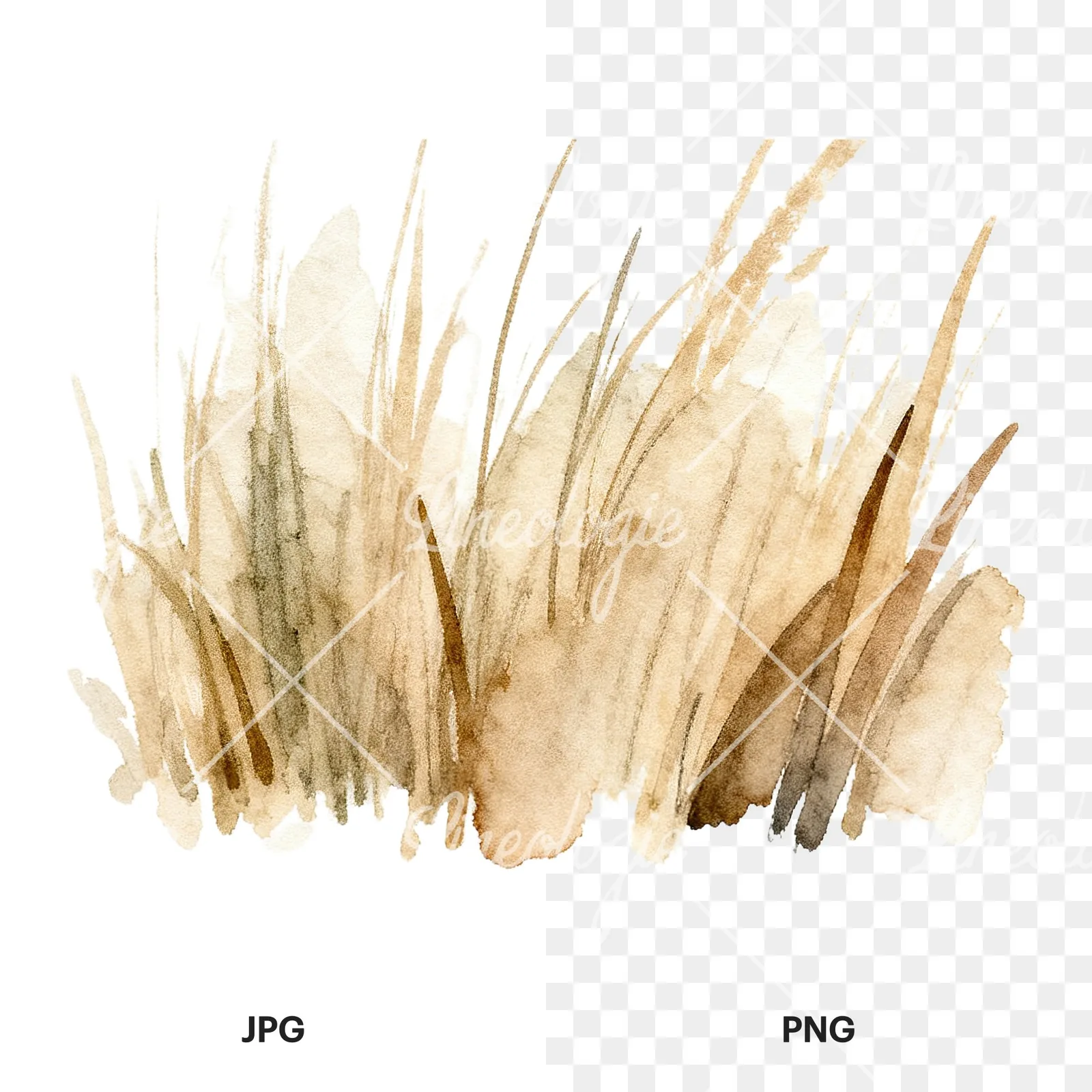 Watercolor dried grass scene clipart 2 of 6, as a JPG on white and a transparent PNG