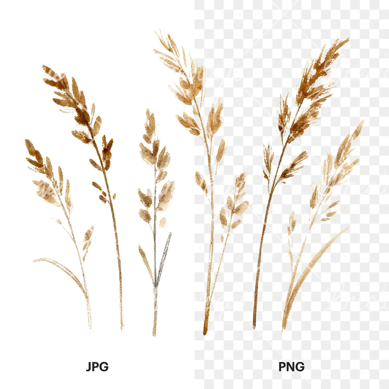 Watercolor dried grass scene clipart 3 of 6, as a JPG on white and a transparent PNG