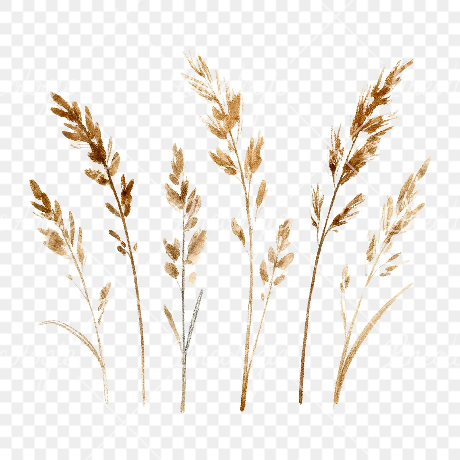 Watercolor dried grass scene clipart 3 of 6 on a transparent background (PNG)