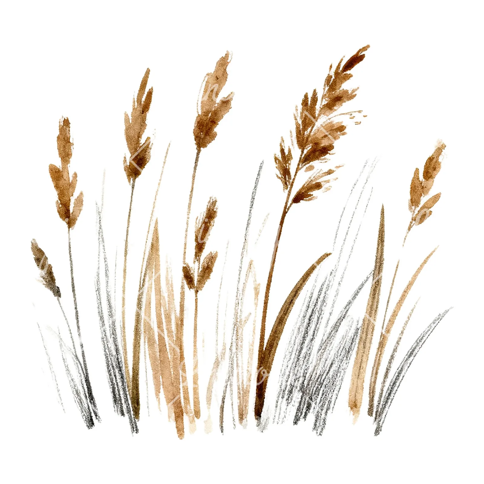 Watercolor dried grass scene clipart 4 of 6 on a white background (JPG)