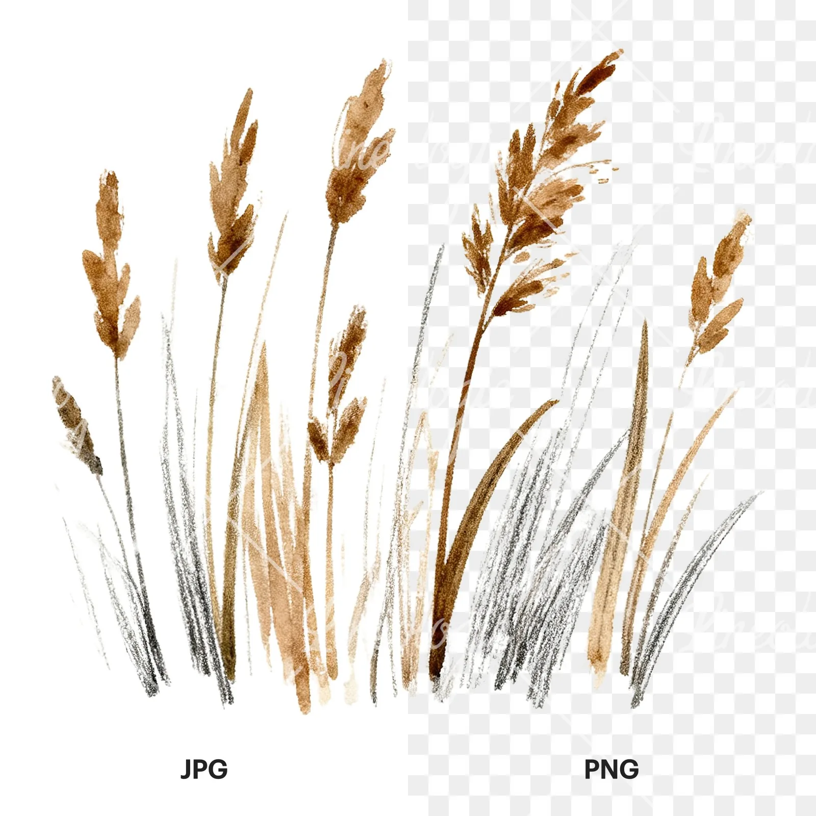 Watercolor dried grass scene clipart 4 of 6, as a JPG on white and a transparent PNG