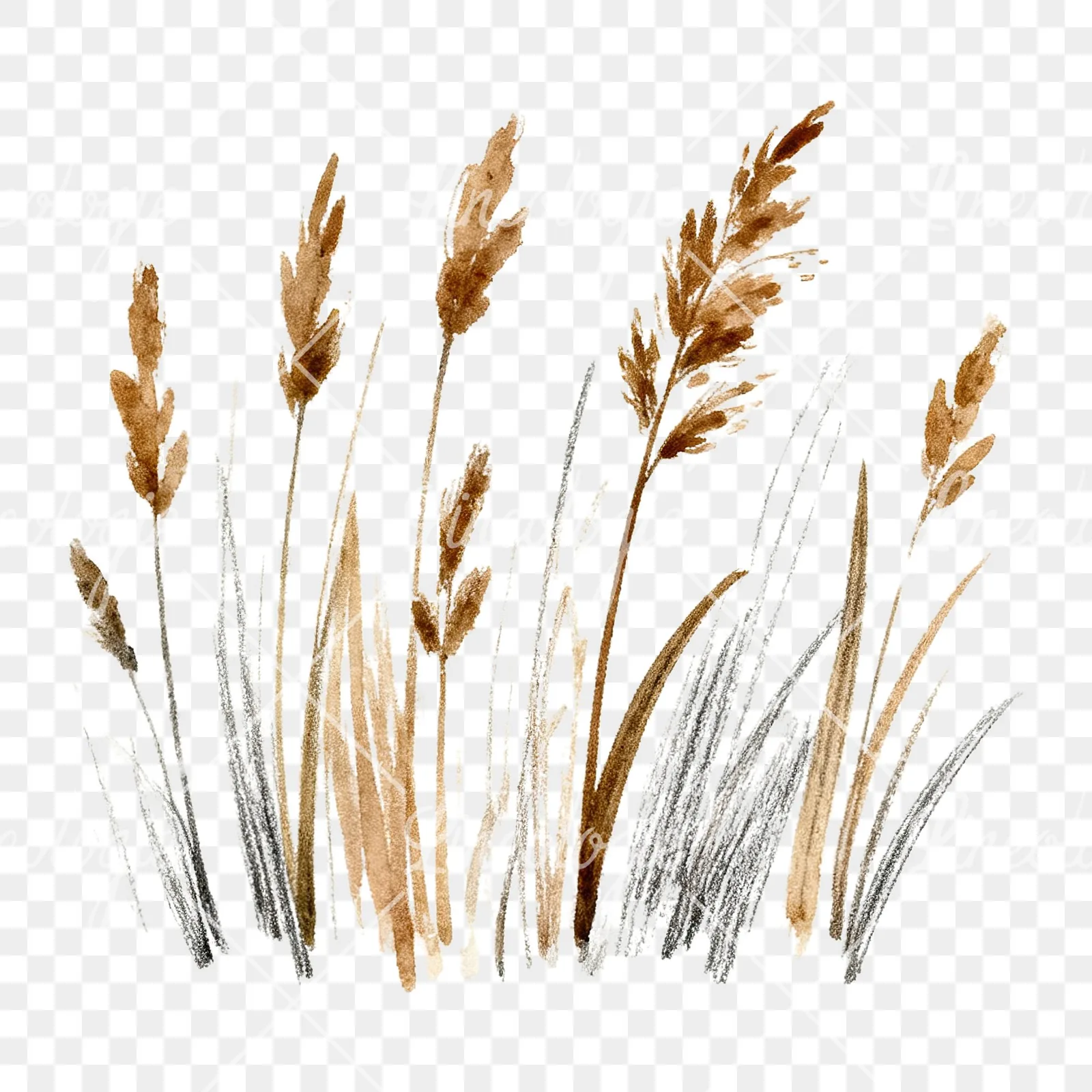 Watercolor dried grass scene clipart 4 of 6 on a transparent background (PNG)