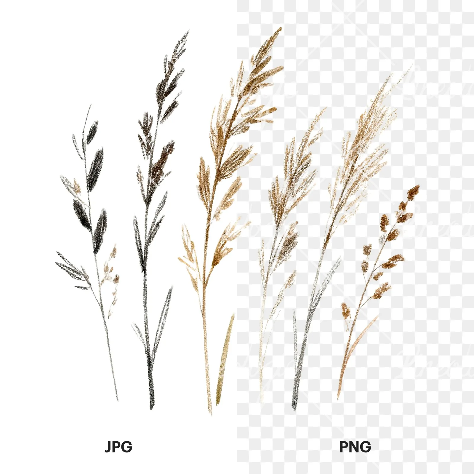 Watercolor dried grass scene clipart 5 of 6, as a JPG on white and a transparent PNG