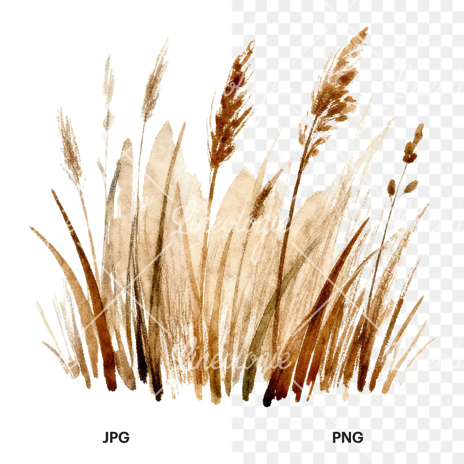 Watercolor dried grass scene clipart 6 of 6, as a JPG on white and a transparent PNG