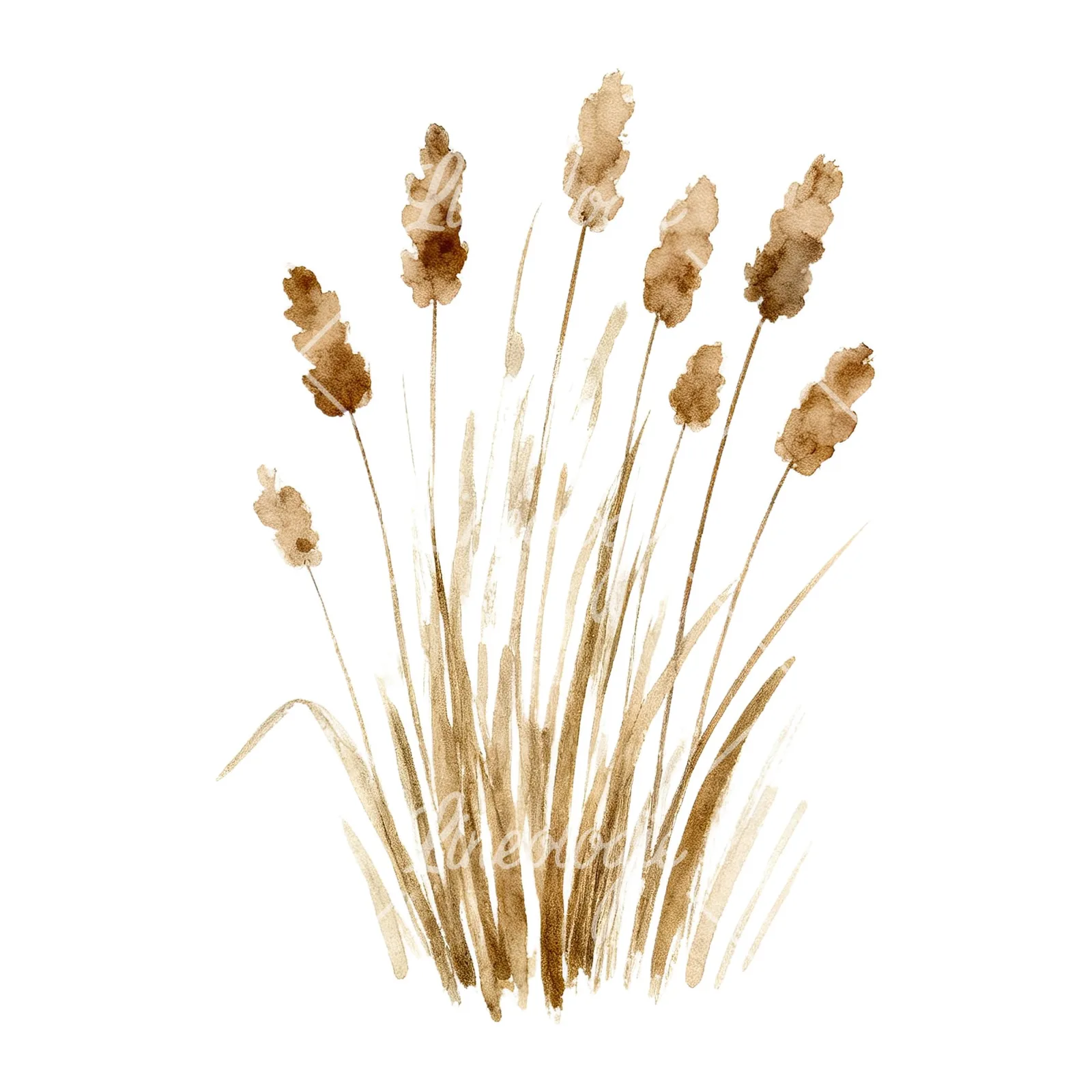 Watercolor dried grass clipart 3 of 9 on a white background (JPG)
