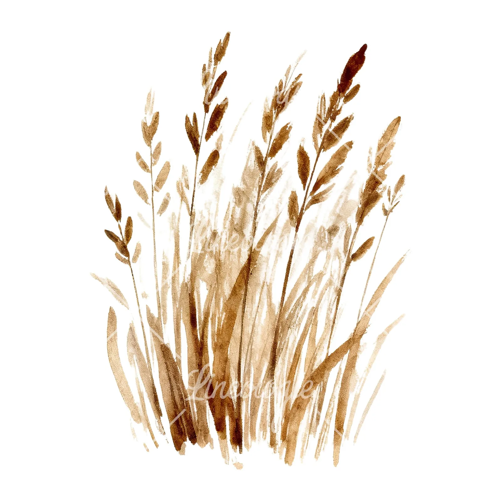 Watercolor dried grass clipart 4 of 9 on a white background (JPG)