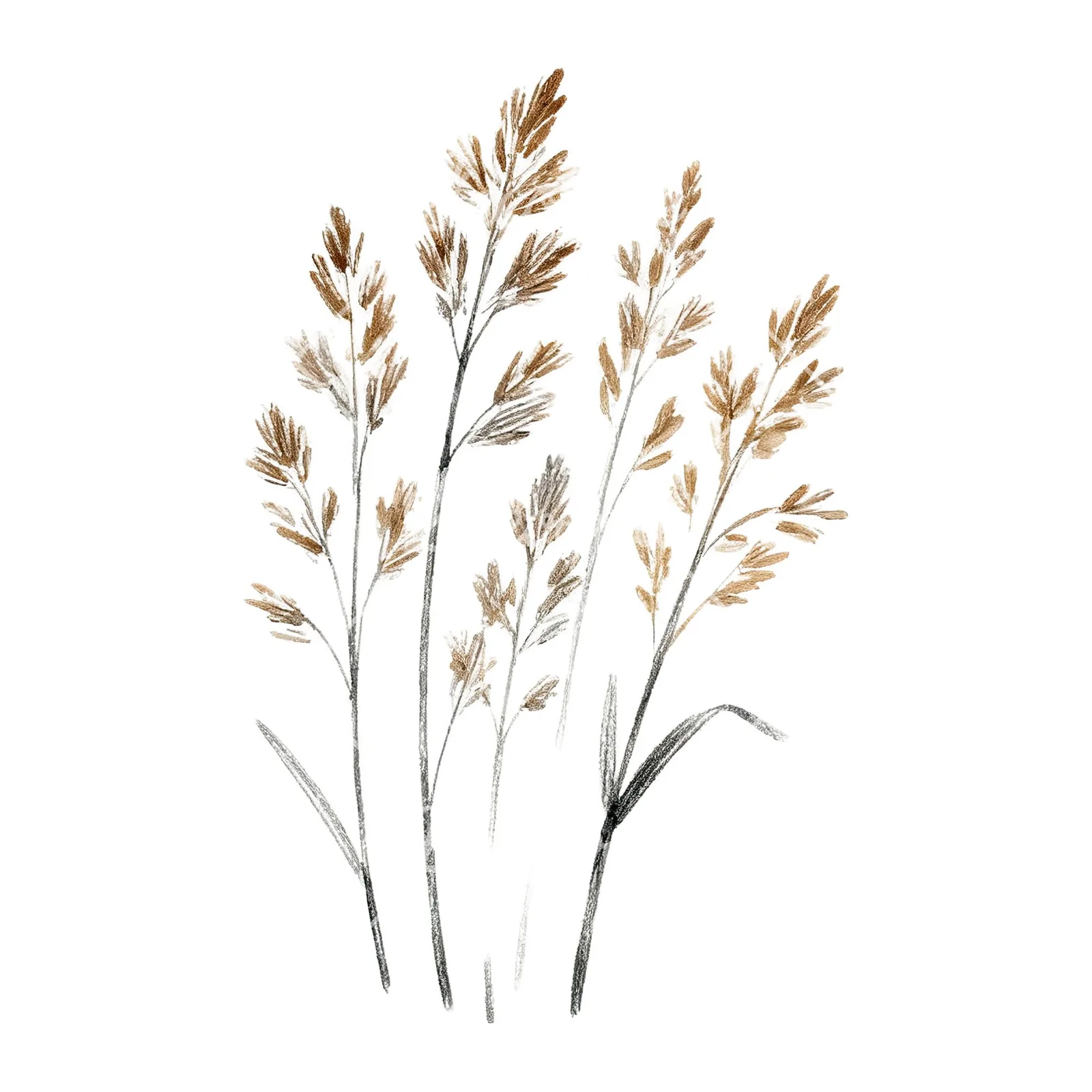 Watercolor dried grass clipart 7 of 9 on a white background (JPG)