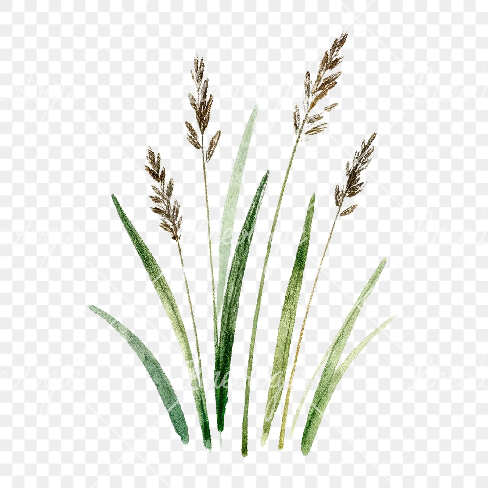 Watercolor dense meadow grass clusters clipart 3 of 9 on a transparent background (PNG)
