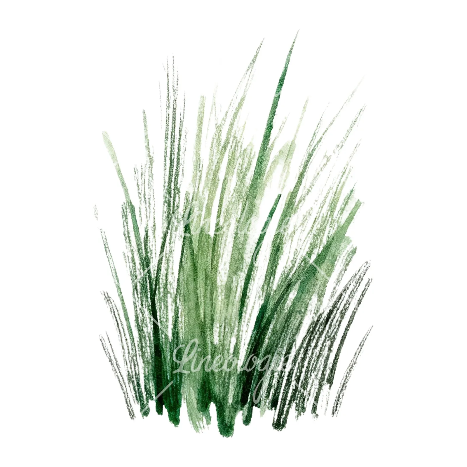 Watercolor dense meadow grass clusters clipart 6 of 9 on a white background (JPG)