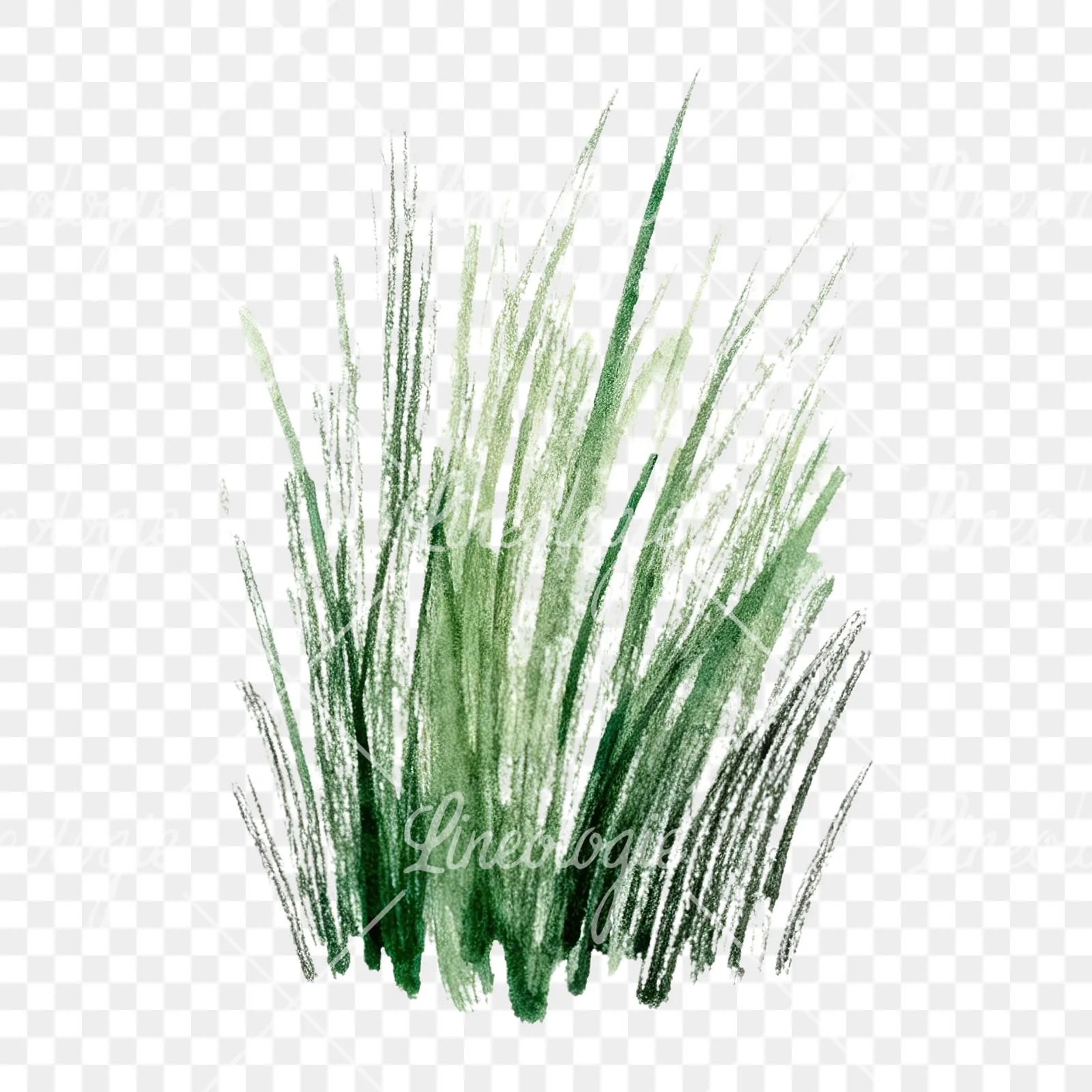 Watercolor dense meadow grass clusters clipart 6 of 9 on a transparent background (PNG)