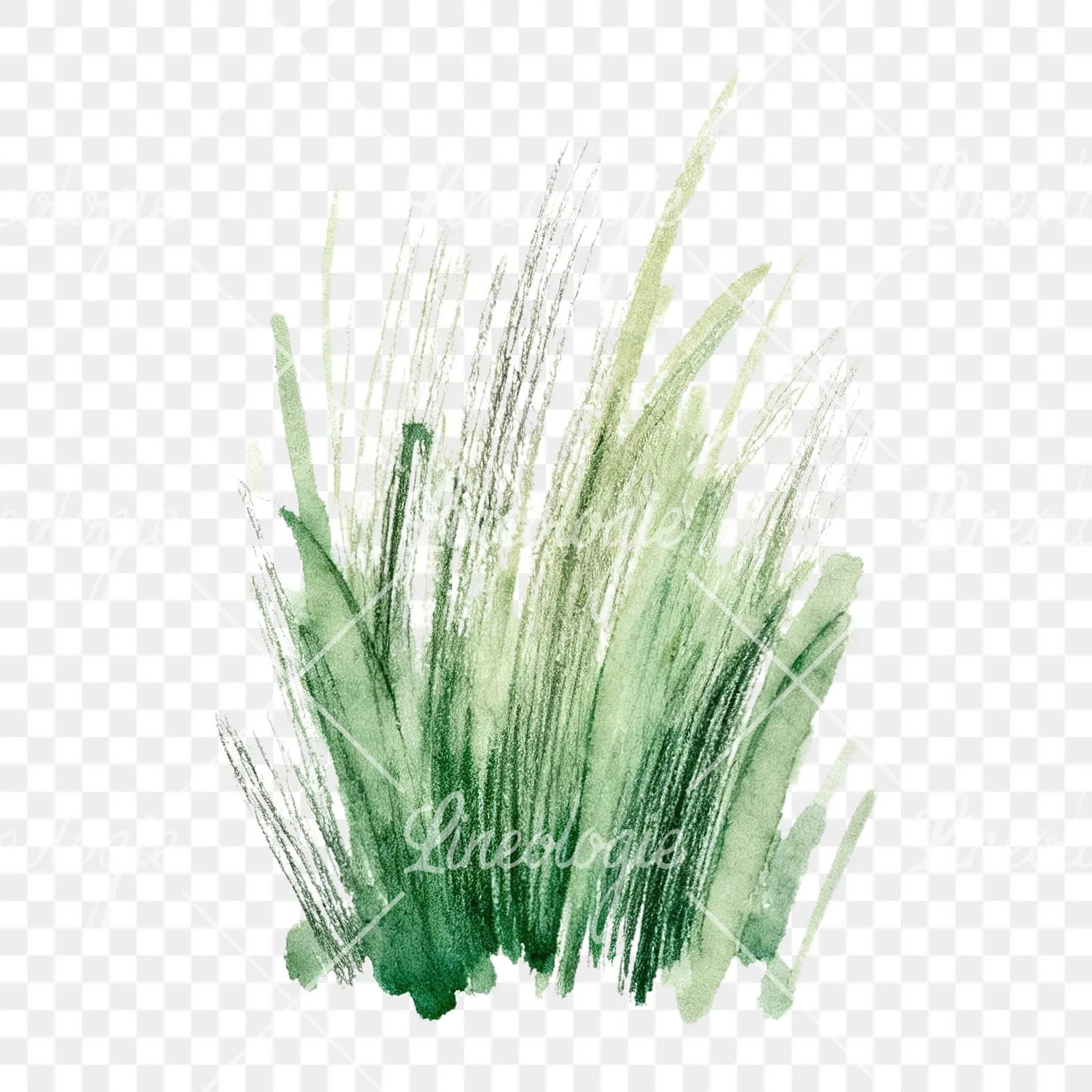 Watercolor dense meadow grass clusters clipart 7 of 9 on a transparent background (PNG)