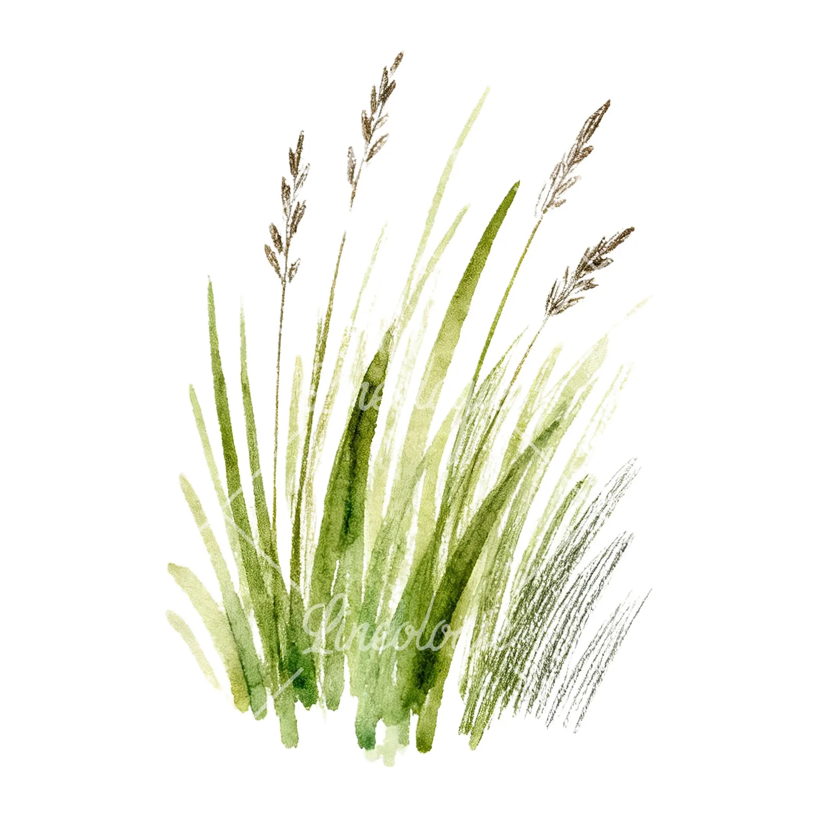 Watercolor dense meadow grass clusters clipart 9 of 9 on a white background (JPG)