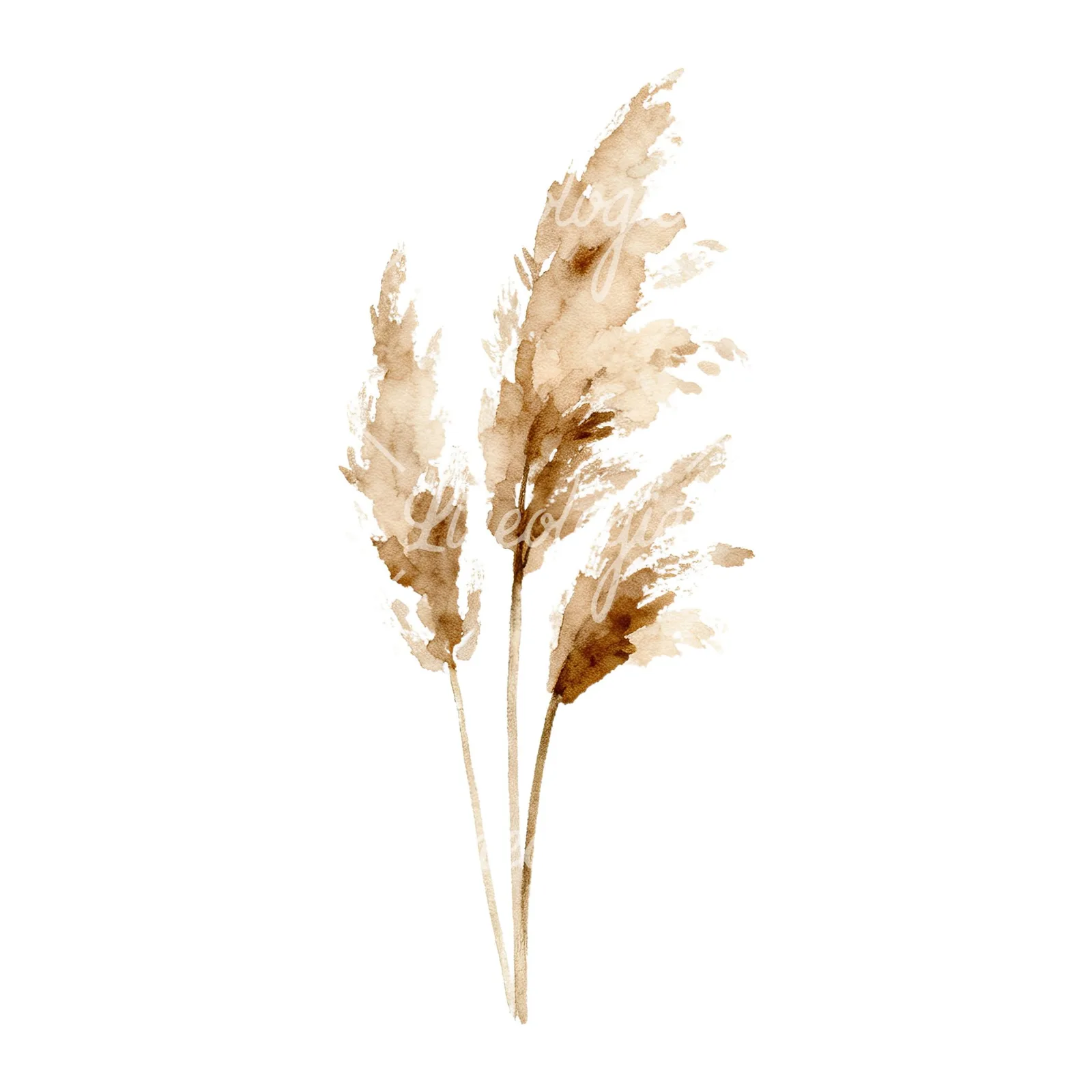 Watercolor pampas grass earthy tones clipart 1 of 9 on a white background (JPG)