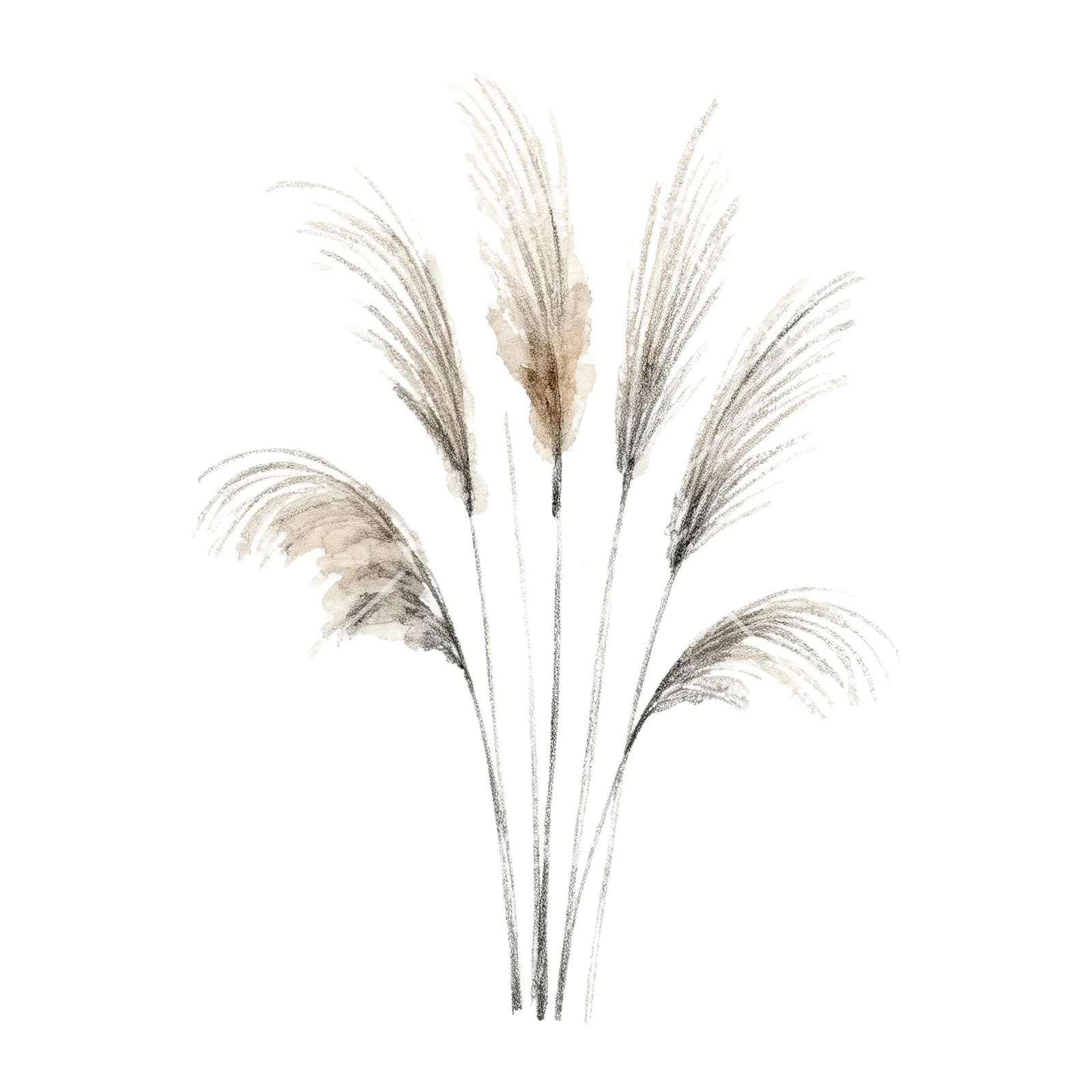 Watercolor pampas grass earthy tones clipart 2 of 9 on a white background (JPG)