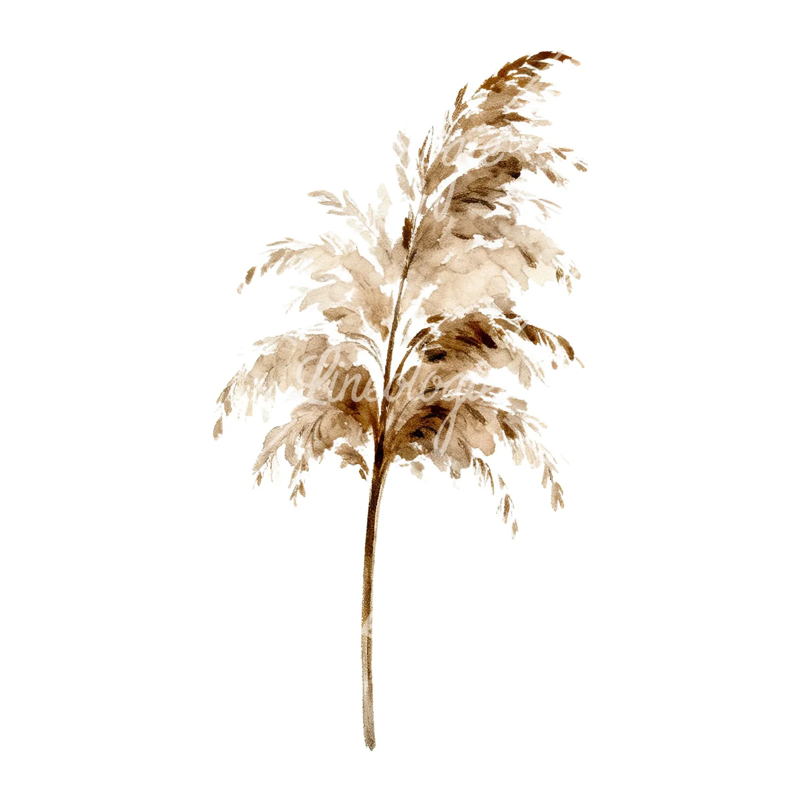 Watercolor pampas grass earthy tones clipart 4 of 9 on a white background (JPG)