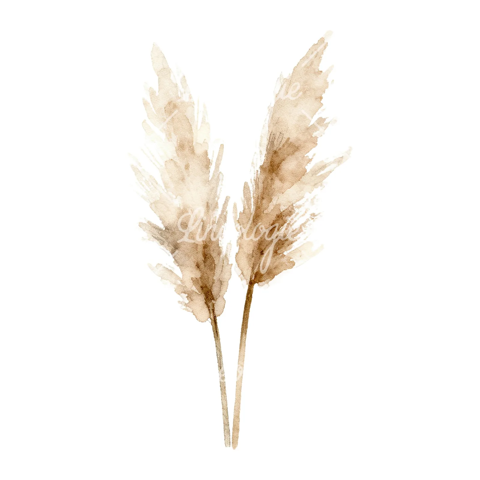 Watercolor pampas grass earthy tones clipart 5 of 9 on a white background (JPG)