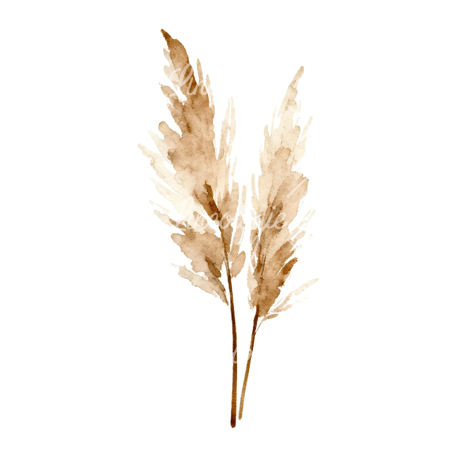Watercolor pampas grass earthy tones clipart 6 of 9 on a white background (JPG)