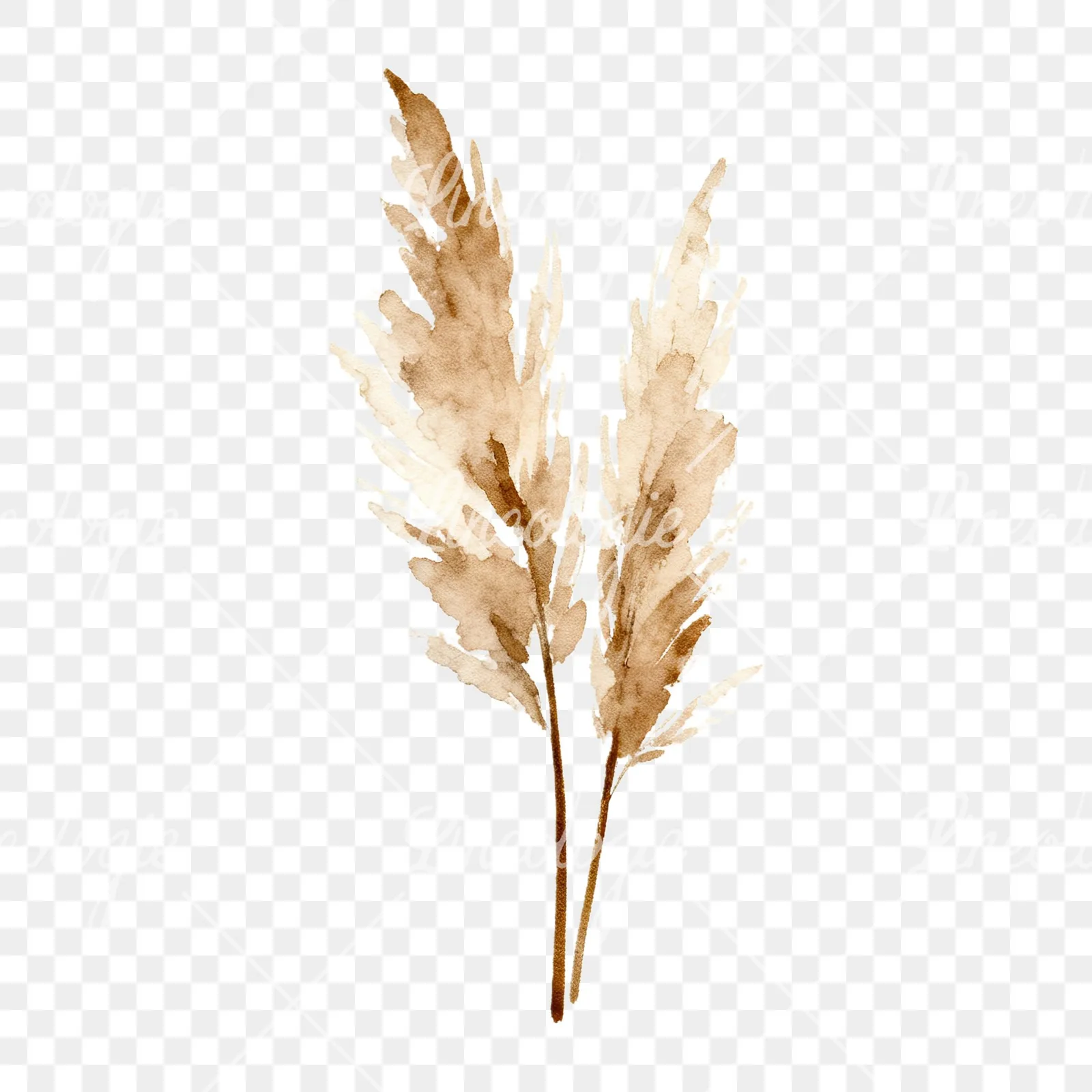 Watercolor pampas grass earthy tones clipart 6 of 9 on a transparent background (PNG)