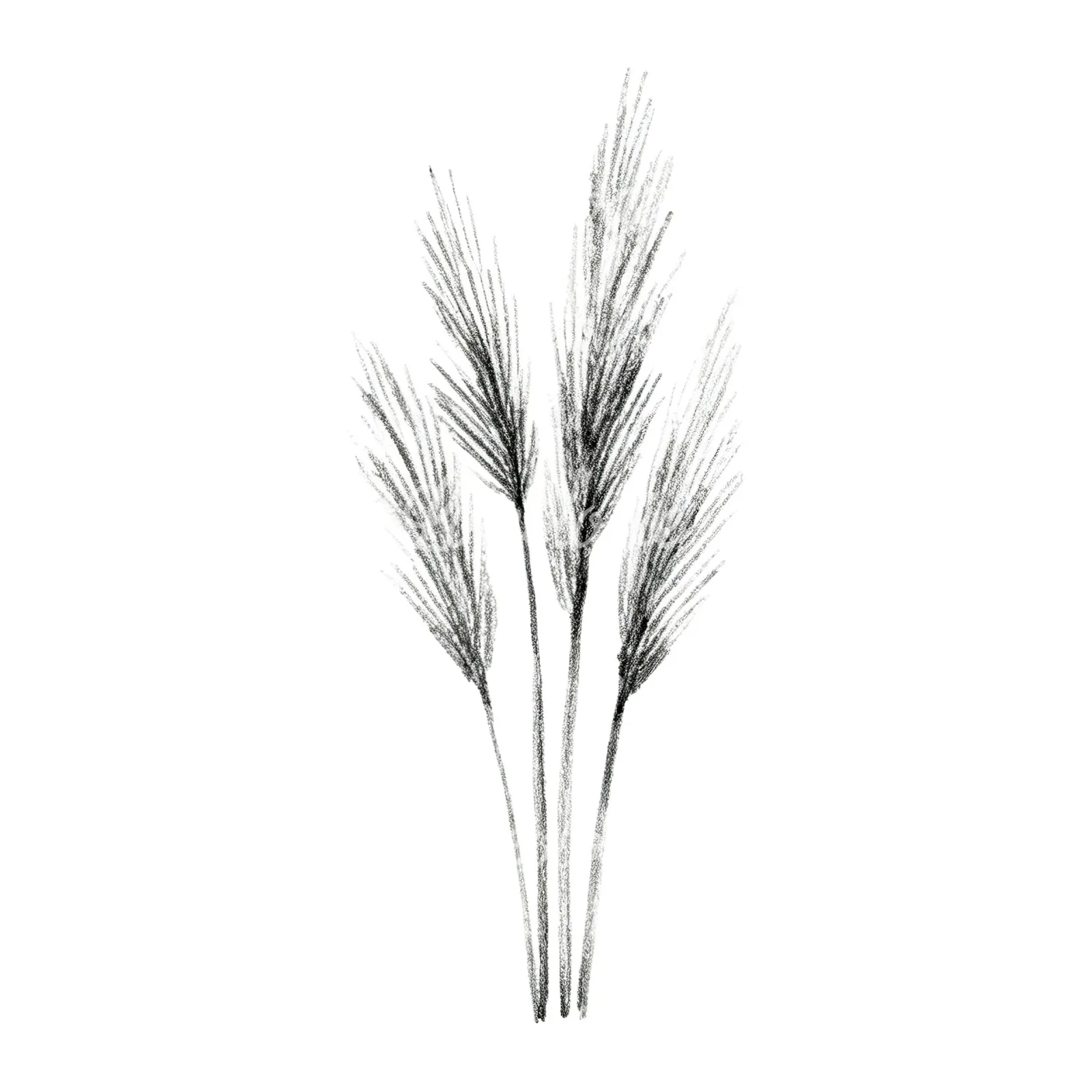 Watercolor pampas grass earthy tones clipart 8 of 9 on a white background (JPG)