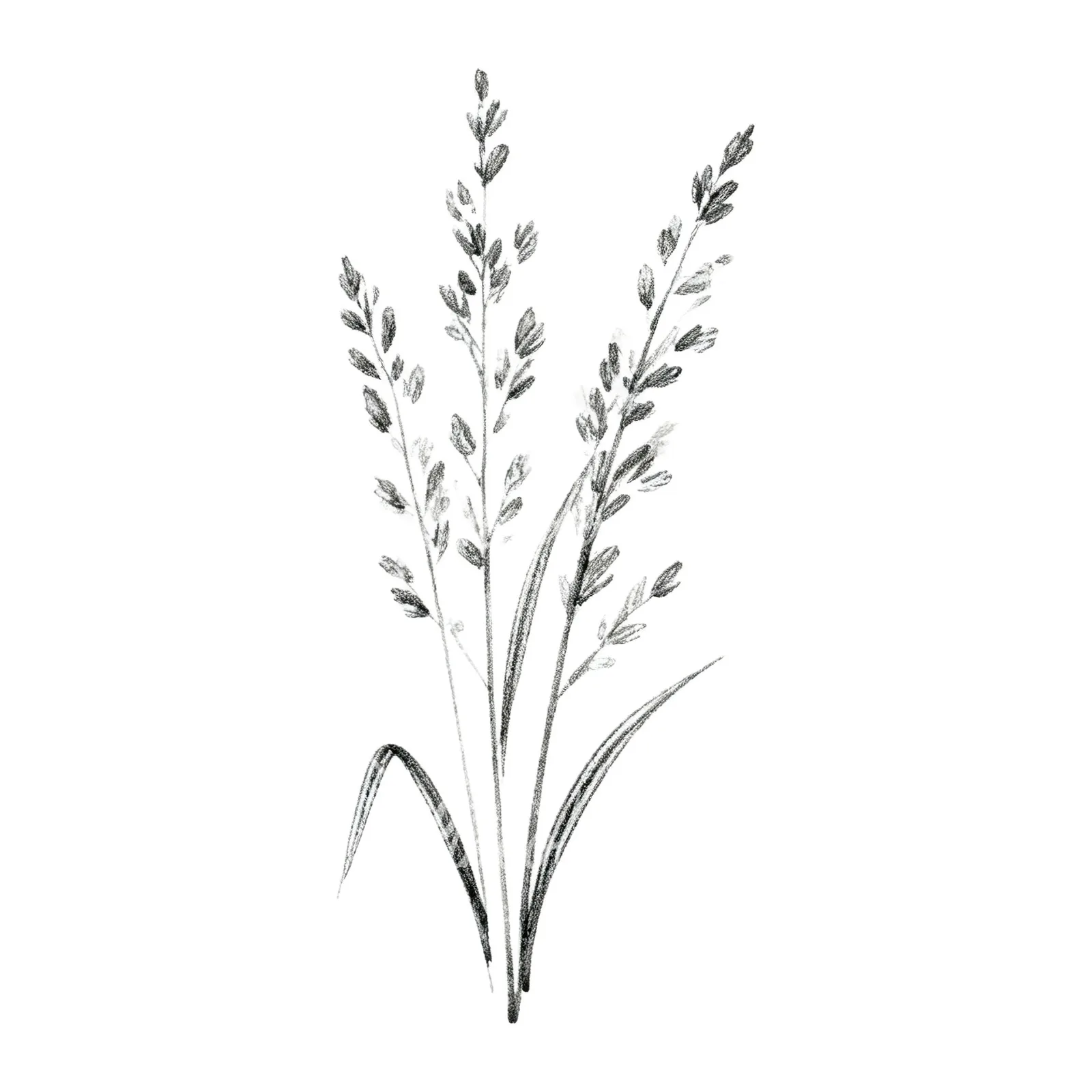 Watercolor pampas grass earthy tones clipart 9 of 9 on a white background (JPG)