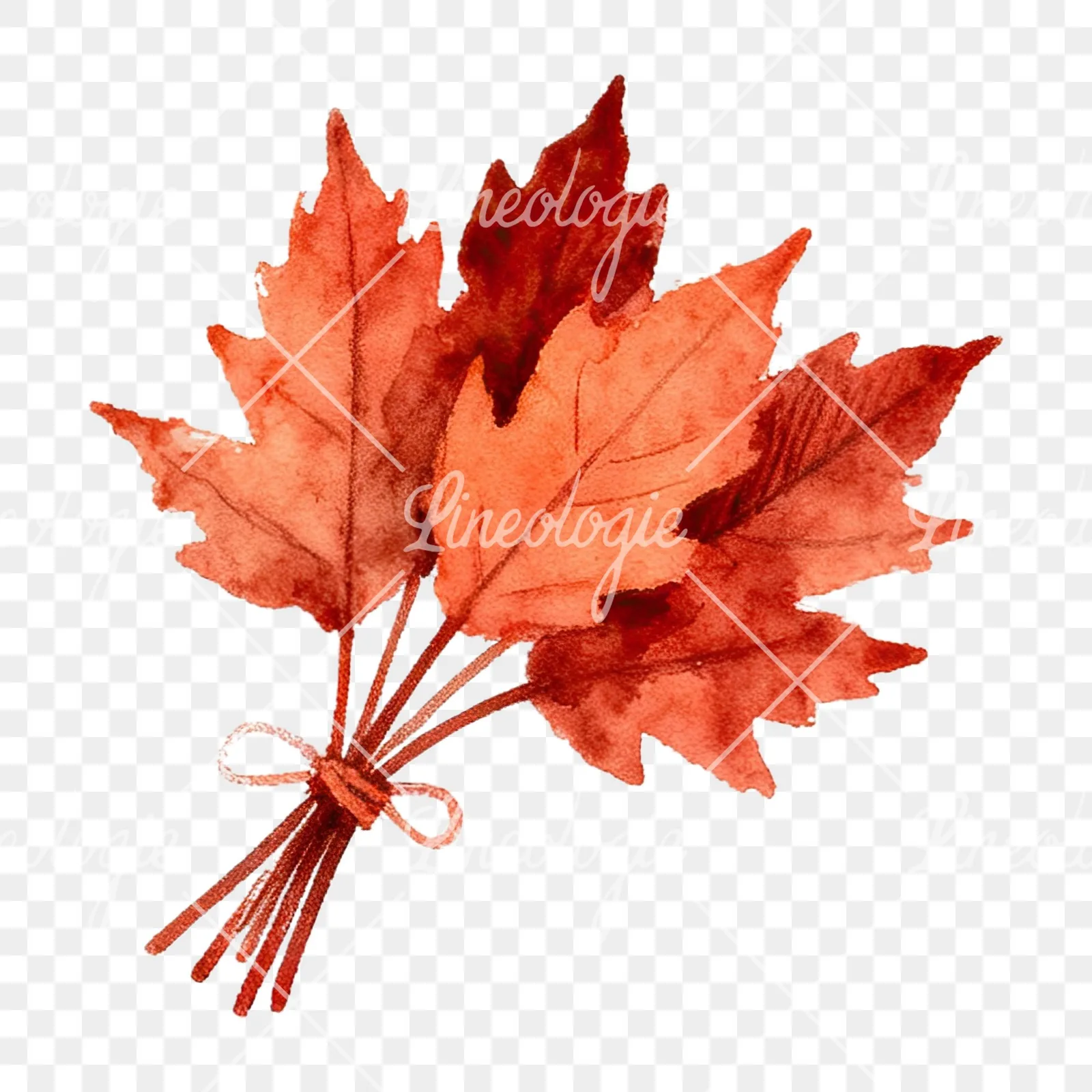 Watercolor autumn leaf bundle clipart 9 of 12 on a transparent background (PNG)