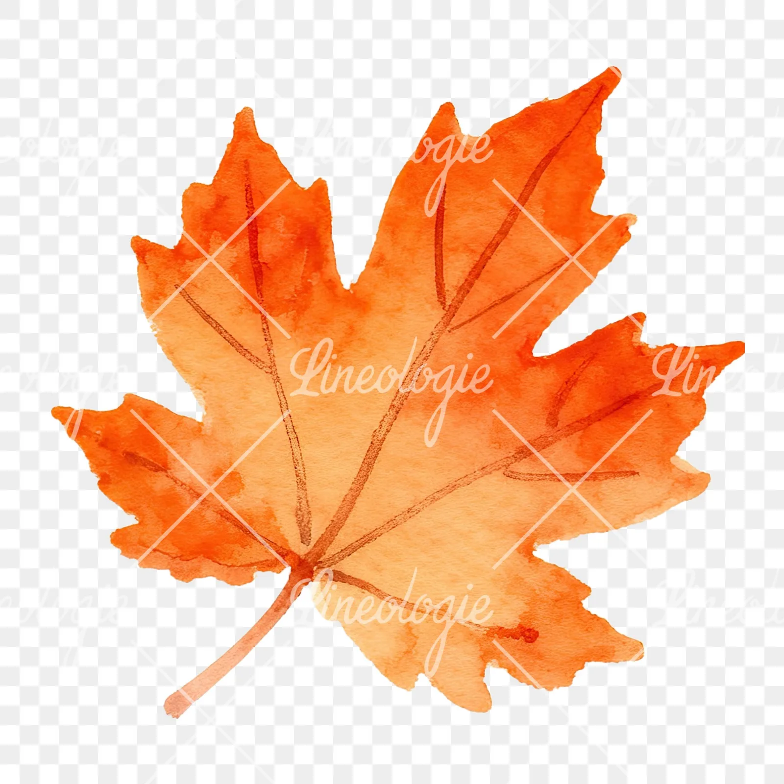 Watercolor red and orange autumn leaf clipart 3 of 12 on a transparent background (PNG)