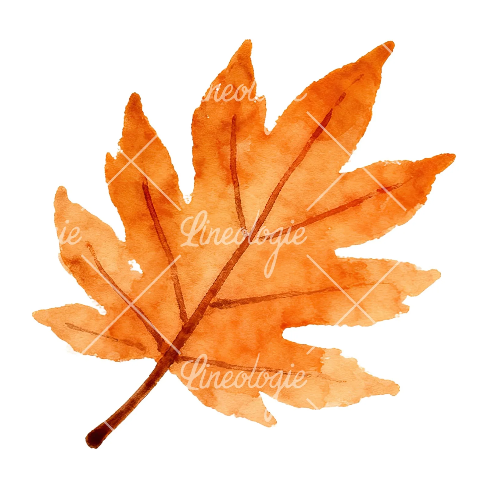 Watercolor red and orange autumn leaf clipart 5 of 12 on a white background (JPG)