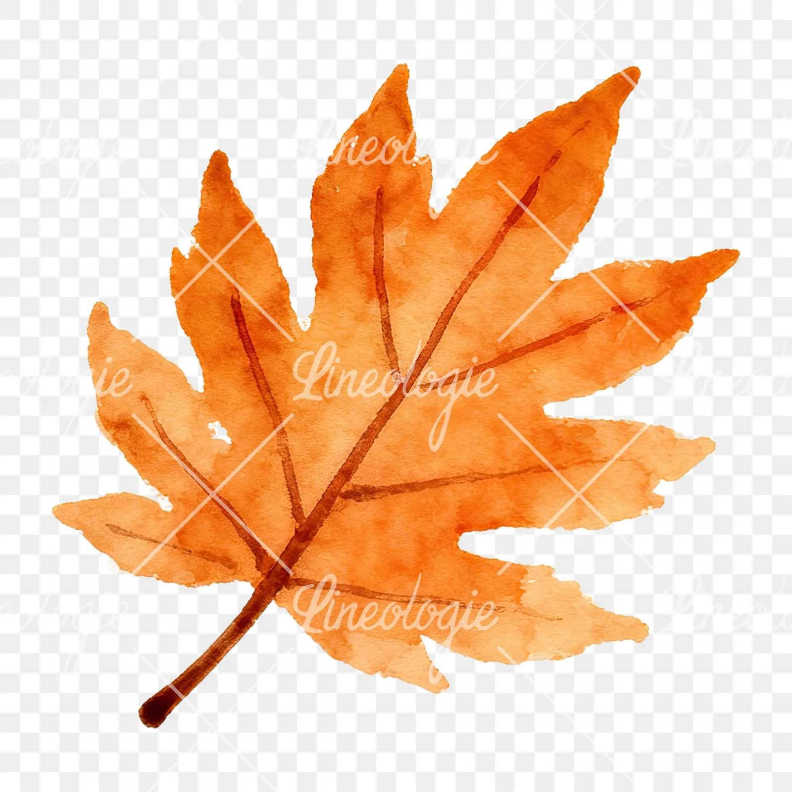 Watercolor red and orange autumn leaf clipart 5 of 12 on a transparent background (PNG)