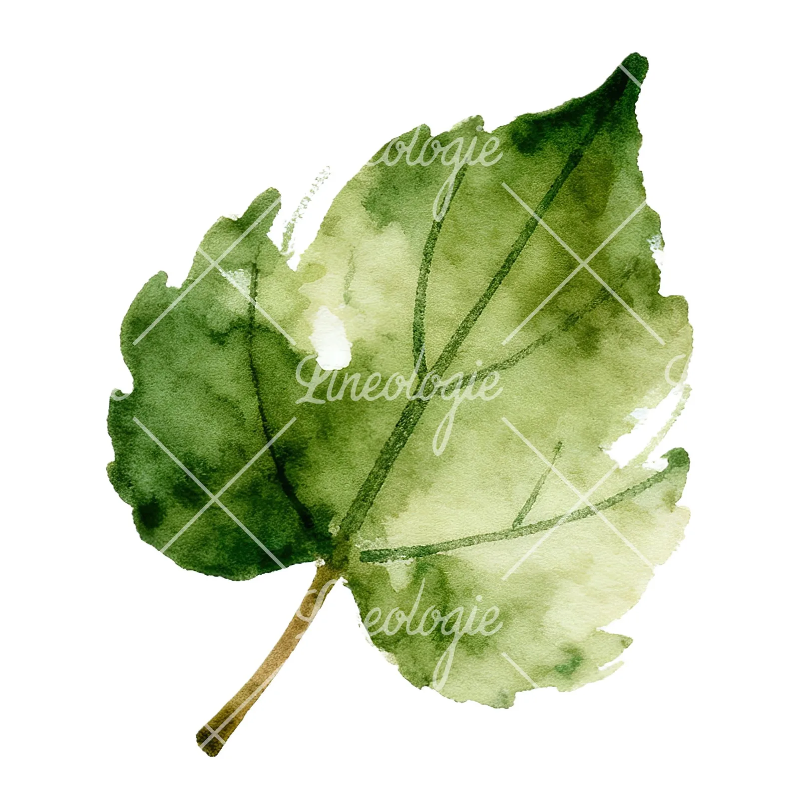 Watercolor red and orange autumn leaf clipart 12 of 12 on a white background (JPG)